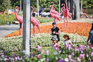 BIB: 
                            <button type="button" onclick="openModal(27794135)" class="btn btn-primary btn-sm float-right btn-popup" data-toggle="modal" data-target=".modal-high-quality">
                        <i class="fas fa-shopping-cart"></i> Add to Cart
                    </button>
                                            <button type="button" onclick="isThisMe(27794135, true)" class="btn btn-success btn-sm float-right btn-popup btn-isme hidden" data-toggle="tooltip" data-placement="bottom" title="นี่คือรูปของคุณใช่ไหม คลิกที่นี่เพื่อเอาเข้าอัลบั้ม">
                        <i class="fas fa-plus"></i> Add to album
                    </button>
                    <button type="button" onclick="isThisMe(27794135, false)" class="btn btn-warning btn-sm float-right btn-popup btn-isnotme hidden">
                        <i class="fas fa-ban"></i> Remove from album
                    </button>